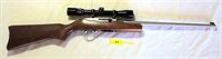 Gun20-Ruger 10-22 Carbine Rifle, Stainless, Scope