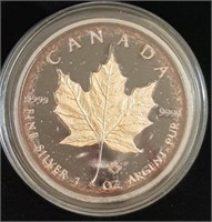 2016 Canada Silver Maple 'Logarithmic Universe'