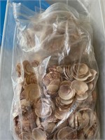 2 Boxes of Sea Shells