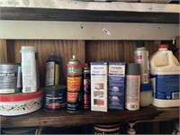 Contents of Shelf: Paint