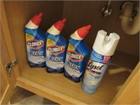 lysol & chemicals(most are full)