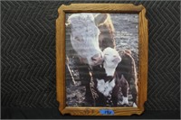 2 wall sheves & framed Herford cow picture