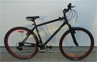 Mountain Bike 10 Speed Approx 20 inches
