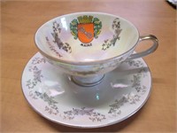 Mainz teacup & saucer - Scherzer