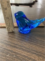Blue bird