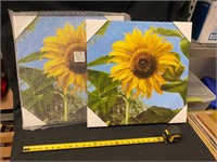 Sunflower wall prints