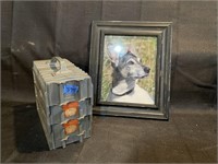 three trays of vintage slides and dog photo