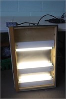 Lighted Wooden Case with Lamp, Small Crack i