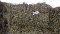 30 1st Alfalfa Grass