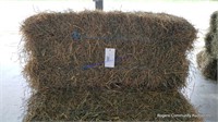 12 3rd Alfalfa Grass Mix