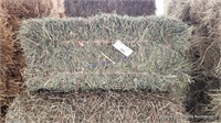 16 2nd Alfalfa Grass Mix