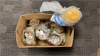 Box of seashells and glass jars