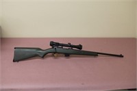 Sears .22 rifle