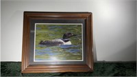 PICTURE OF A LOON