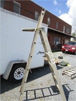 Aluminum Ladder - Pick up only