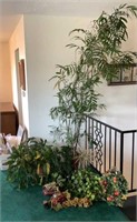 Plants and Decor