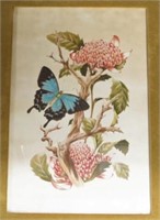 Peter Longhurst (b1922) Butterfly & Waratahs