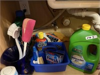 Group: Cleaning Supplies in Laundry Room and Under