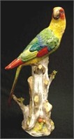 Large antique Saxonian porcelain macaw parrot