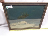 Lone Elk Print