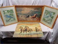 2 Blue Jay Pictures & Horses Picture