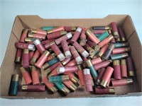 Assorted shotgun shells