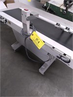 4' Variable Speed Take Off/Delivery Conveyor.