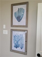 FRAMED PRINTS