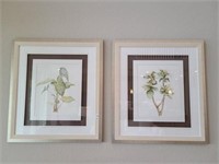 FRAMED PRINTS