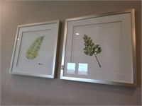 FRAMED PRINTS