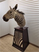 Hartman's Zebra On Pedestal, Partial Hide, PA ONLY