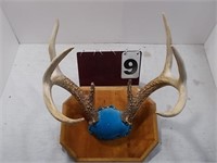 8 Pt Rack