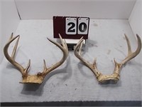 7 Pt and 8 Pt Rack