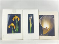 Photographer Signed Floral Photographs