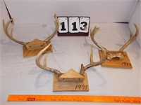 Deer Racks 6 pt, 2 5 pt
