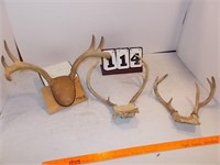 Deer Racks 3 6 Pt
