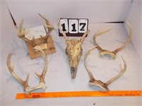 5  Deer Racks 10, 8 ,4 & 1 Head