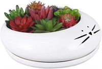 NEW - Koolkatkoo 8 Inch Large Cute Cat Ceramic