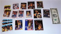 Magic Johnson Basketball 17 Card Lot