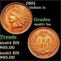 1901 Indian 1c Grades Select+ Unc BN