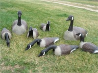 Plastic Goose Decoys with Stakes