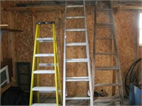 Extension Ladder and 2 Step Ladders