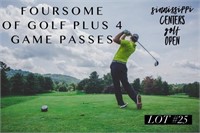 Foresome golf package Foursome at Sinnissippi