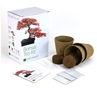 New Plant Theatre Bonsai Trio Kit, 3 Distinctive