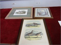 (3)Framed Bird Prints.
