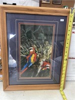 Framed Parrot Print, Double Matted