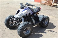 Unison Desert Cat Youth ATV