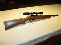 ruger 10-22 22cal