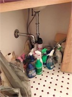 Miscellaneous Contents of Bath and Closet