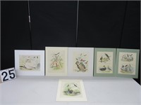 Collection of bird prints